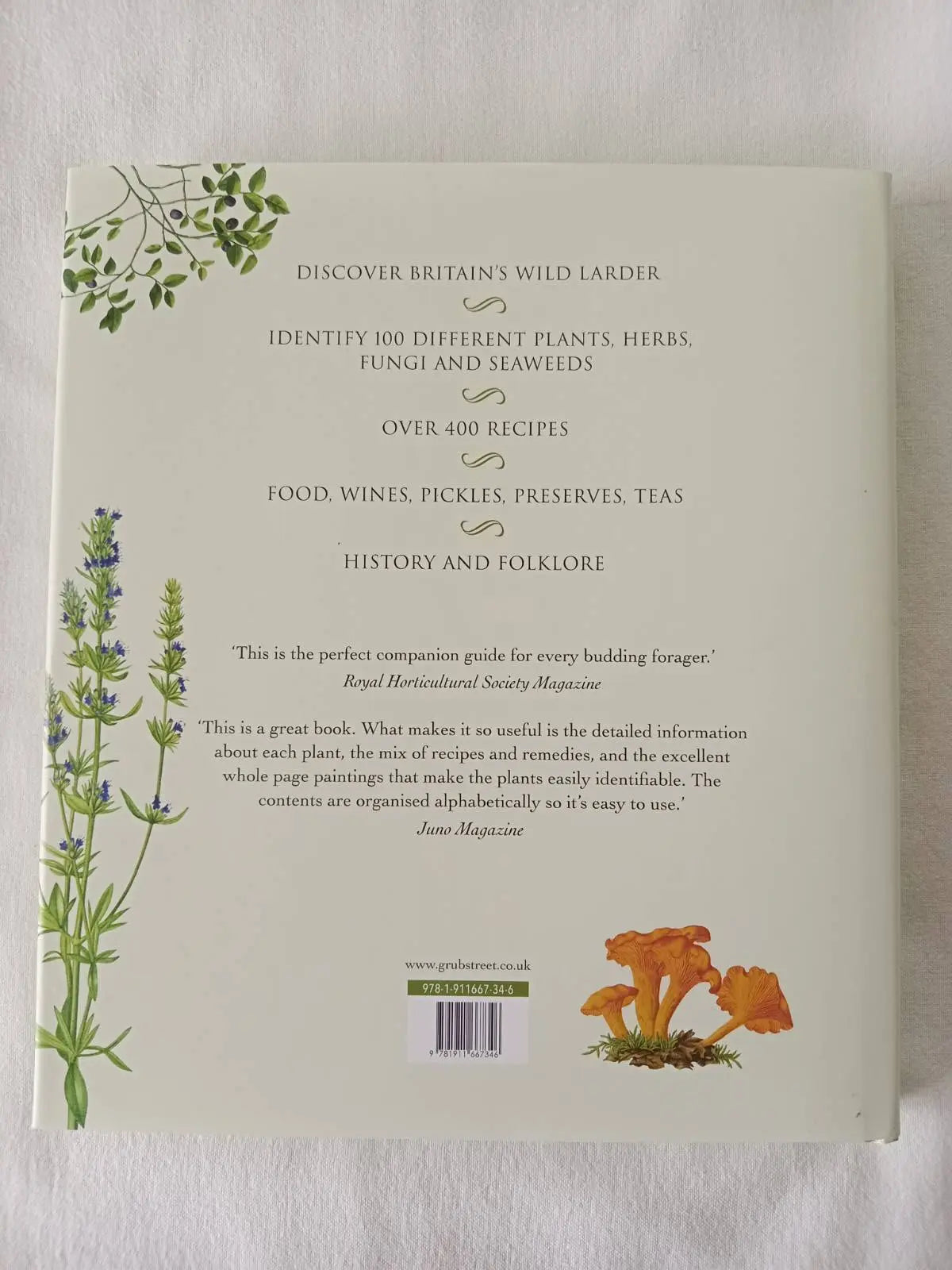 Book - Edible Wild Plants & Herbs: Field Guide & Cookbook with 400 Recipes | Pamela Michael Botanical Love