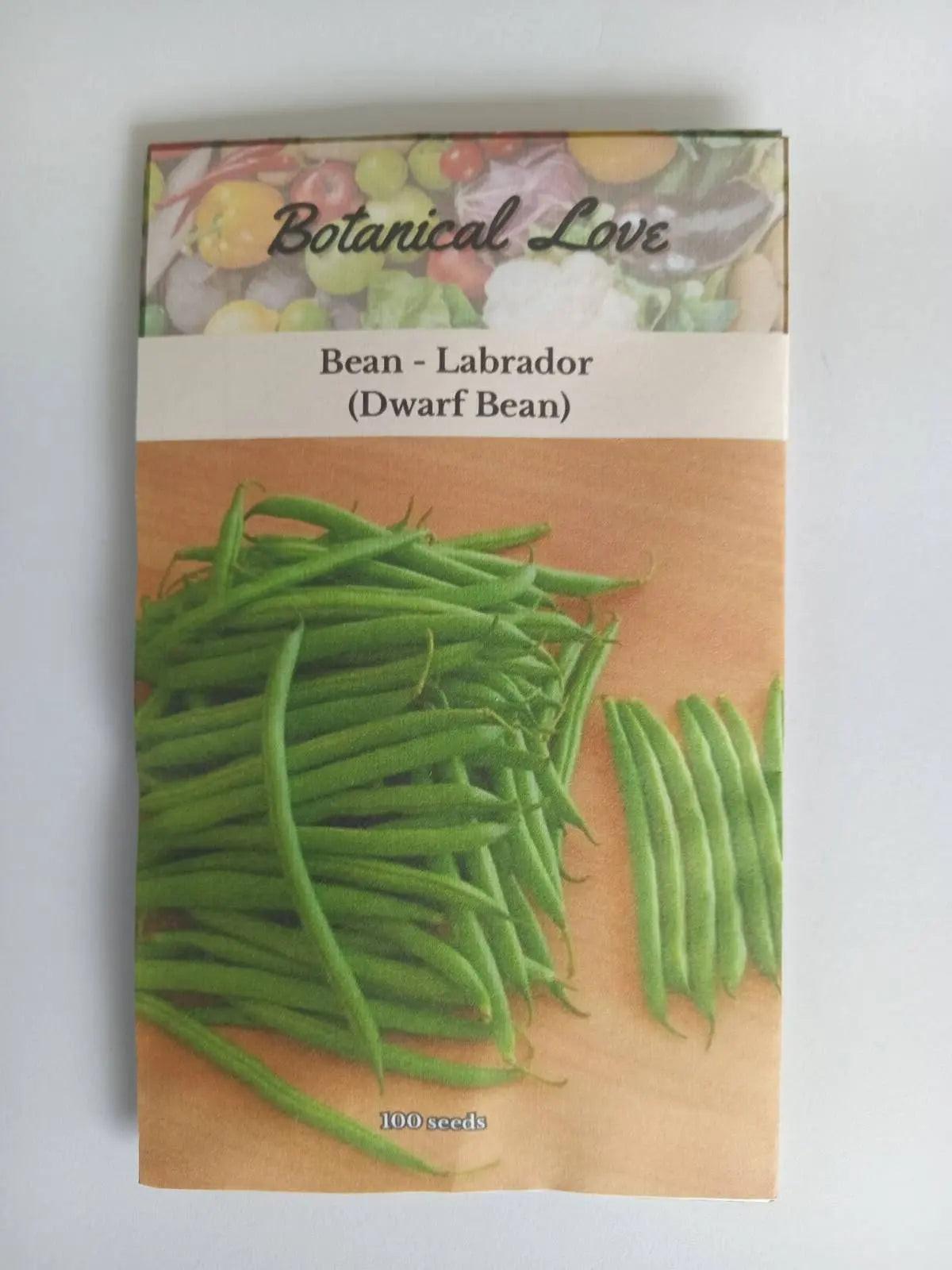 Dwarf Bean Seeds - Labrador Botanical Love