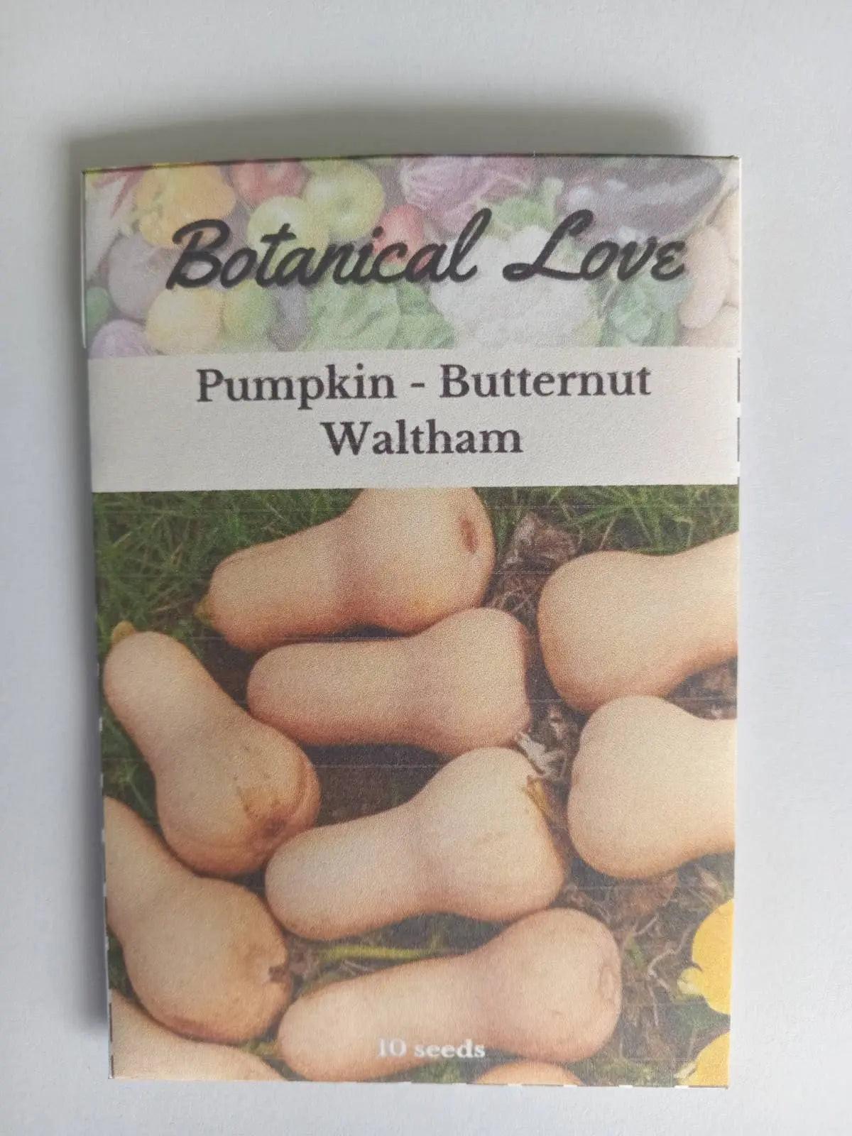 Butternut squash varieties including Waltham, showcasing rich texture and flavor for culinary use