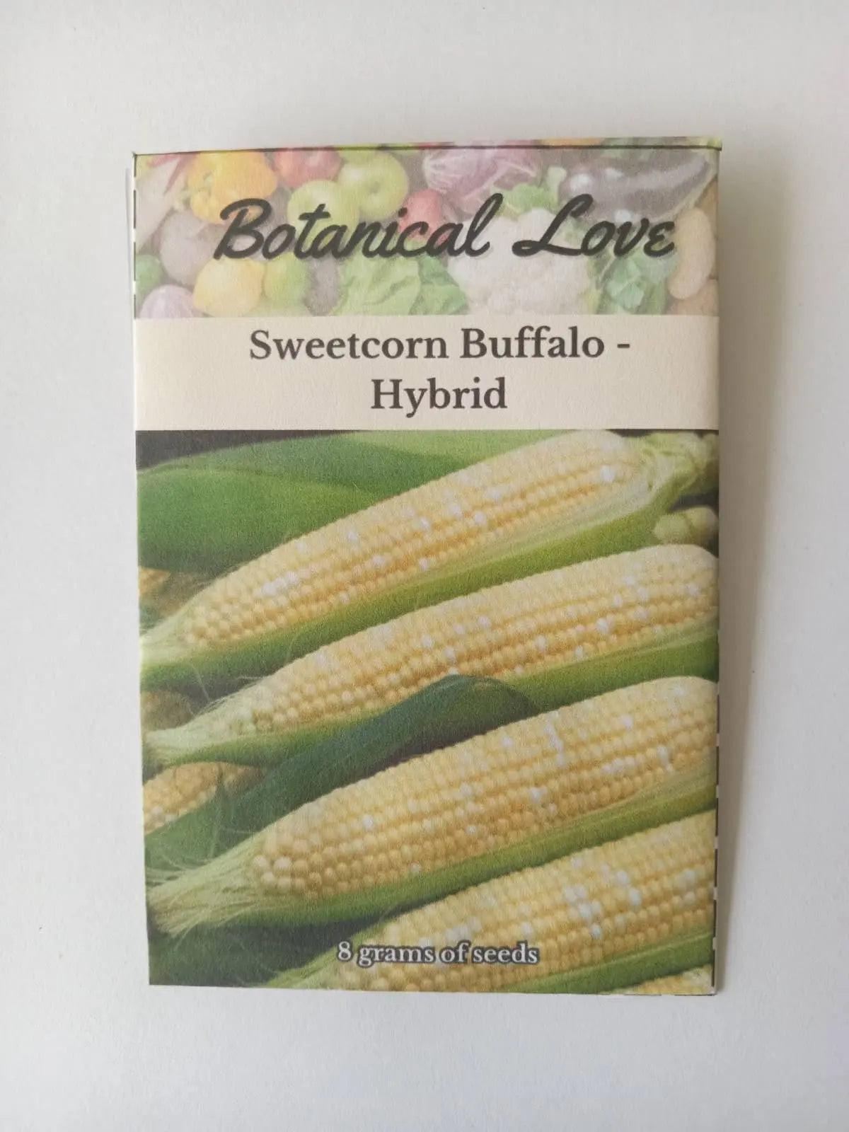 High-yield Sweetcorn variety crossed with robust Buffalo Hybrid for enhanced agricultural productivity and disease resistance.