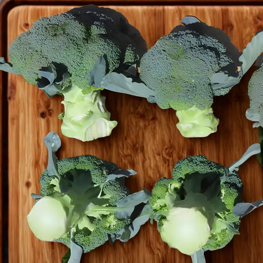 Broccoli - Blue Finn F1 Seeds