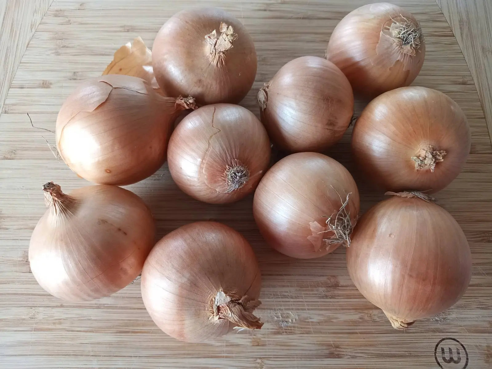 brown onions gladalan on cutting board