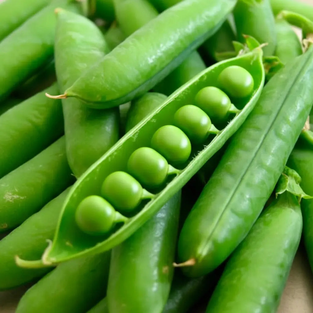 High yield pea seeds Greenfeast variety promoting robust growth and abundant crop production for sustainable agriculture