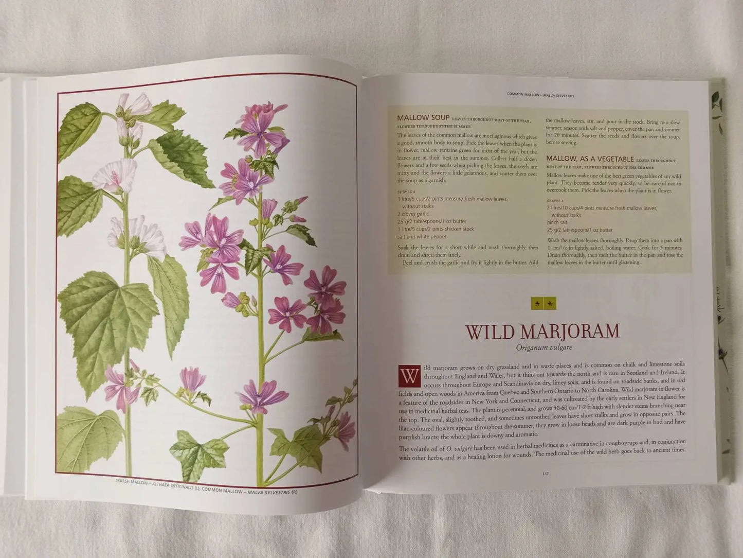 Book - Edible Wild Plants & Herbs: Field Guide & Cookbook with 400 Recipes | Pamela Michael Botanical Love